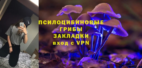 a pvp Алексин