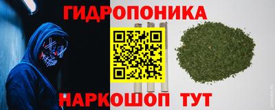 гидра Чебоксары