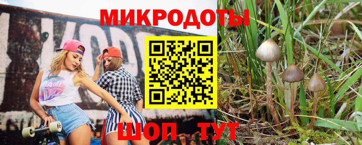Псилоцибиновые грибы Psilocybe Нурлат